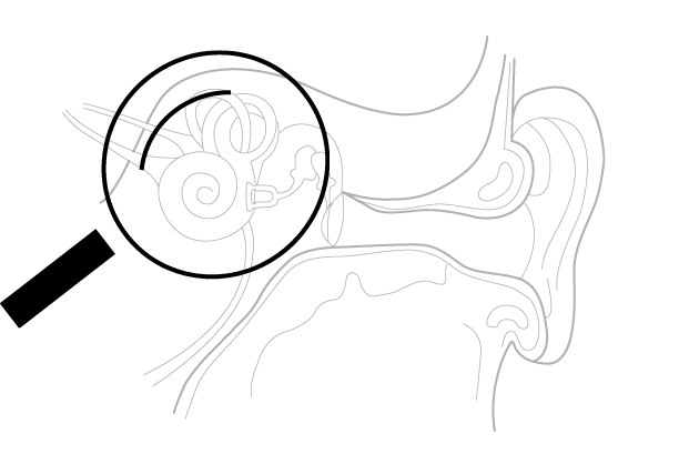 Elaborazione del suono Warp all'interno dell'orecchio