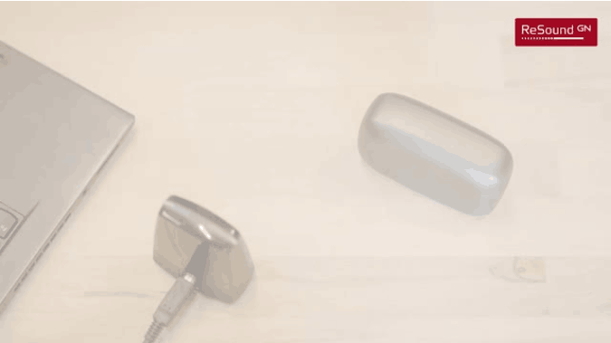 Ansluta RHI anpassningsprogram